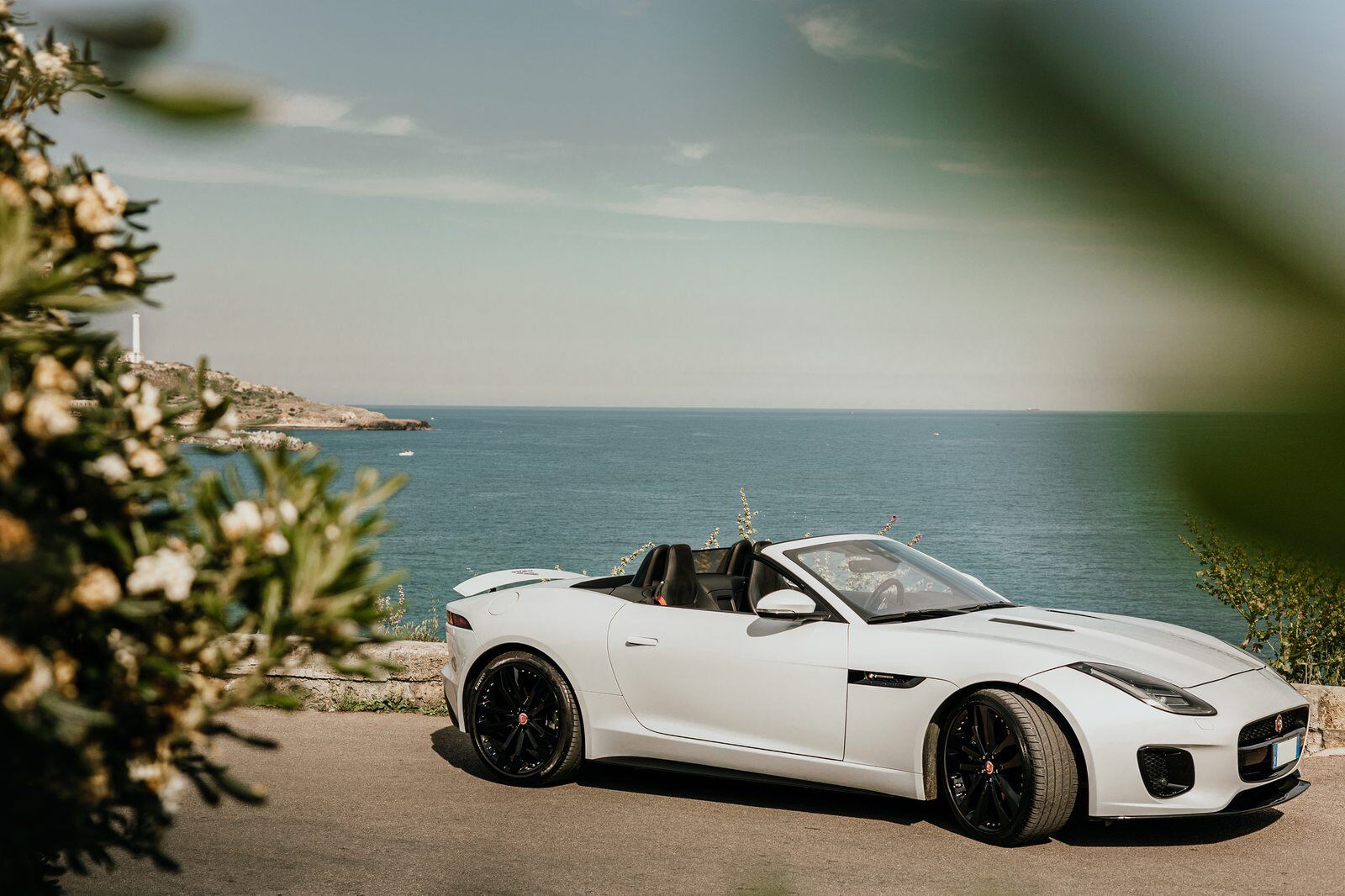 Jaguar F-Type Cabrio tra la macchia mediterranea sulla costa del Salento
